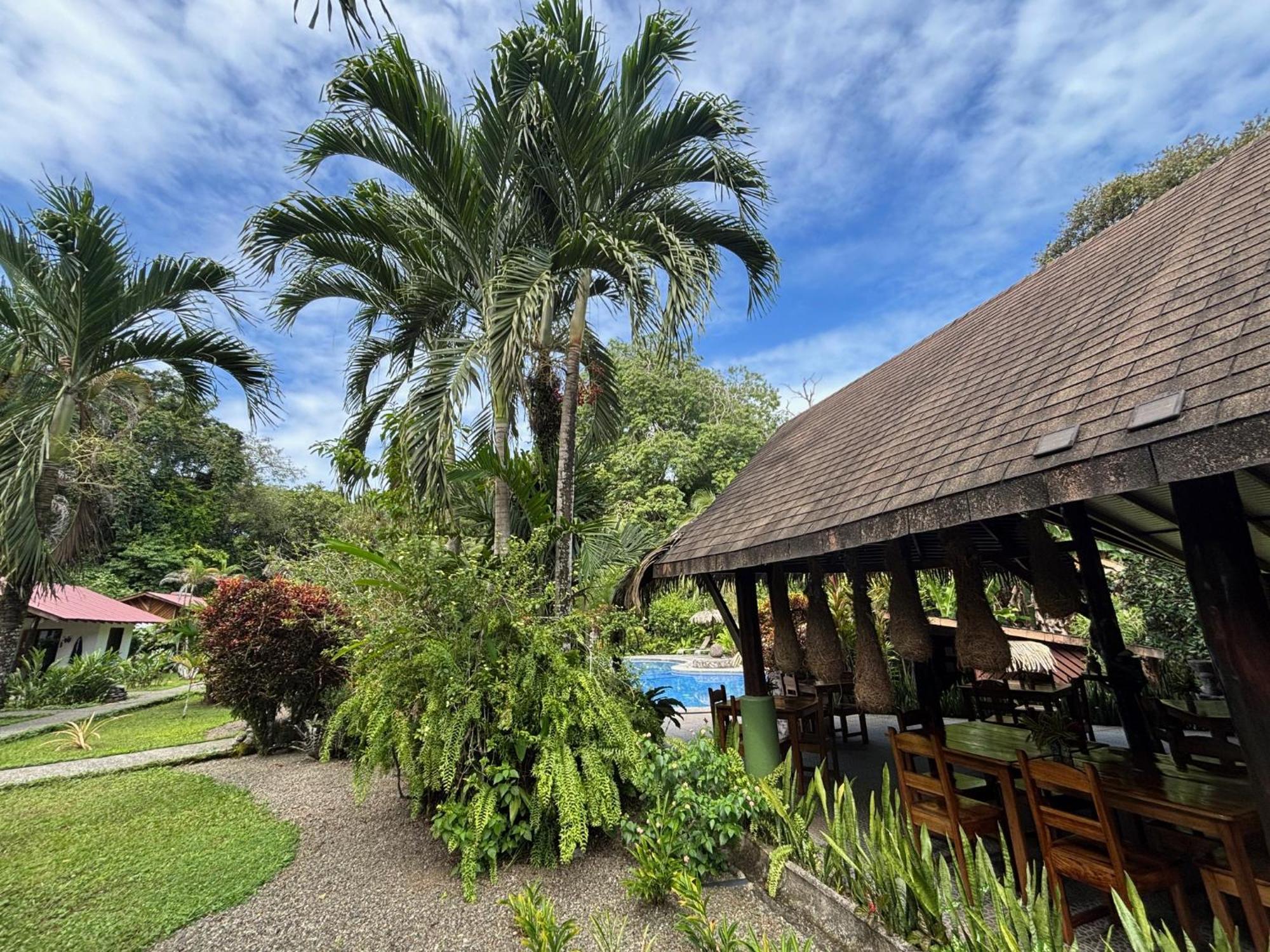 Hotel Suizo Loco Lodge & Resort Кауита Экстерьер фото