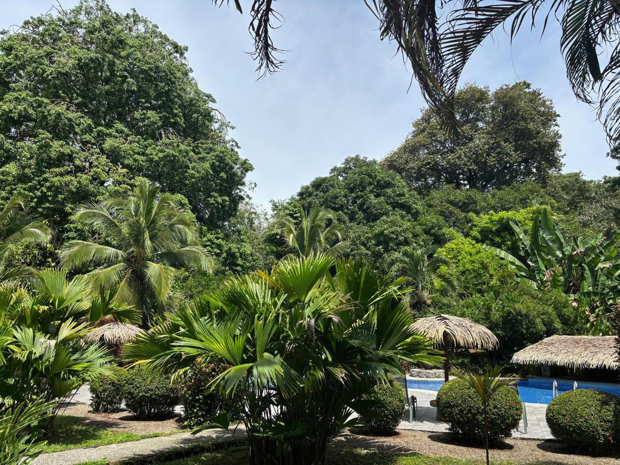 Hotel Suizo Loco Lodge & Resort Кауита Экстерьер фото